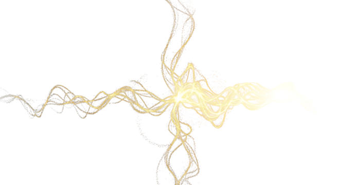 A captivating nautilus shell, its intricate spiral structure revealed within a dynamic splash of water, isolated on transparent background the water envelops the shell, highlighting its natural beauty