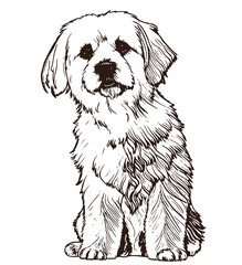 Charming Hand-Drawn Fluffy Puppy Sitting