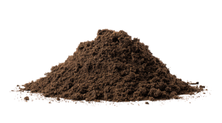 A mound of dark brown soil