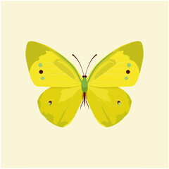 Vibrant Yellow Butterfly on Cream Background, Minimalist Design
