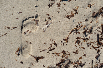 Single barefoot footprint on light sand surrounded by scattered dried seaweed fragments.