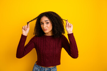 Young mixed race woman with curly hair pulls strands against a bright yellow background wearing a burgundy knit sweater