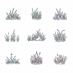 Hand-Drawn Grass & Weed Illustrations, Botanical Nature Elements for Landscaping, Garden Design, and Eco-Friendly Branding