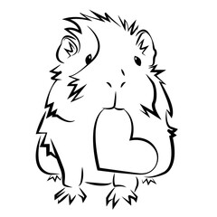 Rosette Guinea Pig Holding Heart in Mouth Outline Drawing for Coloring