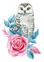 Snowy Owl with Pink Rose and Blue Leaves Watercolor Illustration, wild bird postcard, poster design