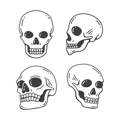Hand-drawn Line Art Skulls Collection