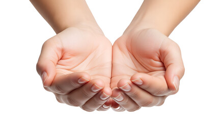 Open Cupped Hands Isolated, Palms Up