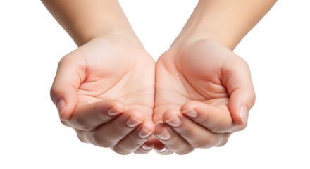 Open Cupped Hands Isolated, Palms Up