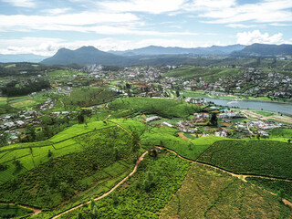 Fototapeta premium Panoramic Drone View of Nuwara Eliya City, Tea Fields, and Gregory Lake
