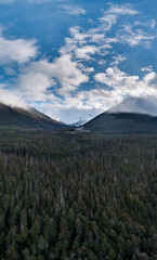 Fototapeta premium Majestic Mountain Valley in BC, Canada With Dense Forest, Clear Sky, and Snow-Capped Peaks