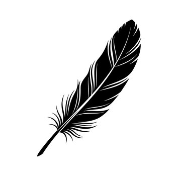 Black feather silhouette isolated on white background