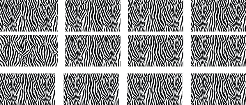 Black and White Zebra Stripe Pattern Background Keywords: zebra, stripes, pattern, animal print