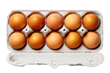 Dozen eggs in a carton