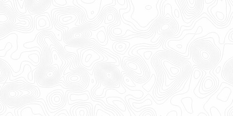 White wave paper curved reliefs abstract background, Abstract topographic contours map background. digital topographic contour map concept space geometric strip grid line. Natural discovery of maps.