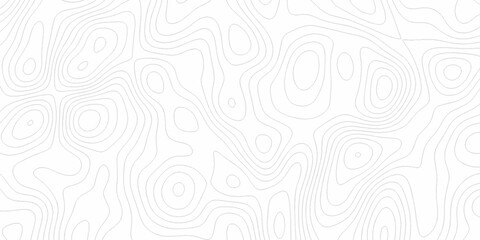 White wave paper curved reliefs abstract background, Abstract topographic contours map background. digital topographic contour map concept space geometric strip grid line. Natural discovery of maps.