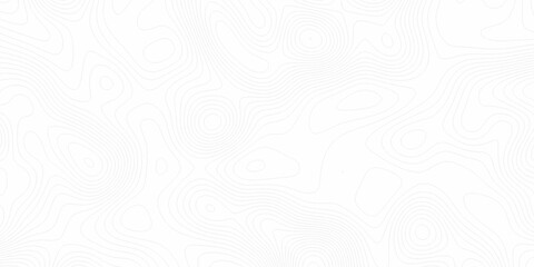 White wave paper curved reliefs abstract background, Abstract topographic contours map background. digital topographic contour map concept space geometric strip grid line. Natural discovery of maps.