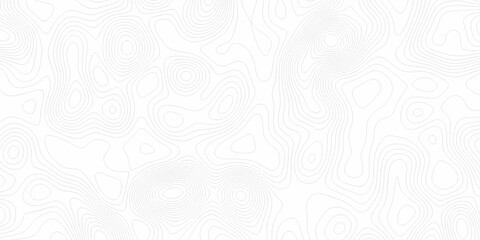 White wave paper curved reliefs abstract background, Abstract topographic contours map background. digital topographic contour map concept space geometric strip grid line. Natural discovery of maps.