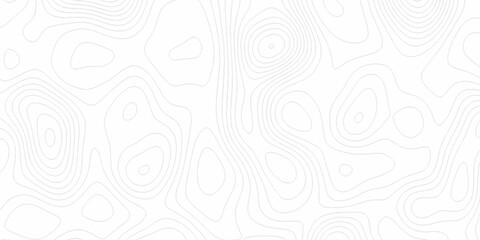 White wave paper curved reliefs abstract background, Abstract topographic contours map background. digital topographic contour map concept space geometric strip grid line. Natural discovery of maps.