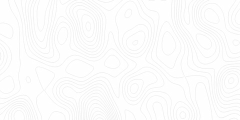 White wave paper curved reliefs abstract background, Abstract topographic contours map background. digital topographic contour map concept space geometric strip grid line. Natural discovery of maps.