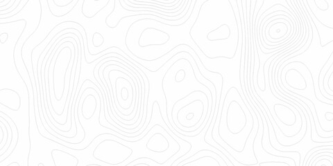 White wave paper curved reliefs abstract background, Abstract topographic contours map background. digital topographic contour map concept space geometric strip grid line. Natural discovery of maps.