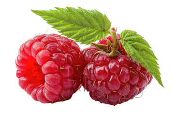 Two fresh raspberries, vibrant red, with green leaves