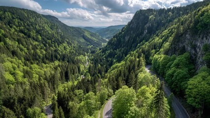 Lush green forest valley with winding road aerial view of a scenic landscape perfect for travel and nature backgrounds - Powered by Adobe