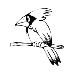 Illustration of a blue jay perched on a branch with detailed feather outlines and a distinctive crest shape