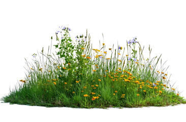 Fototapeta premium Lush, vibrant meadow of wildflowers
