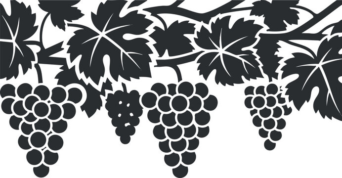 Stylized black silhouette vector illustration of grapevines with leaves and clusters of grapes, ideal for wine branding and organic design projects