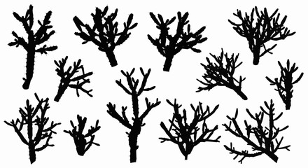 Collection of black silhouettes of bare tree branches and bushes.