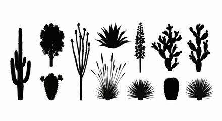 Silhouettes of various desert plants and cacti in black and white.
