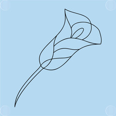 Elegant Line Art Calla Lily Flower Illustration for Design