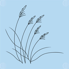 Elegant Lineart Grass Plant Illustration for Fresh Nature Design