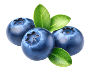 blueberries isolated on transparent background 
