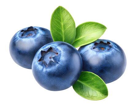 blueberries isolated on transparent background 