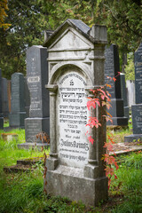 Jewish graves at the Vienna Central Cemetery in November