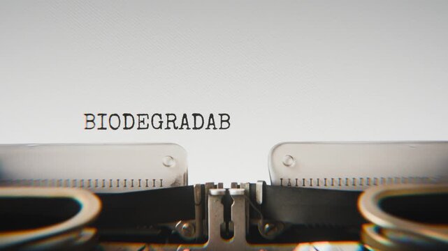 Old mechanical typewriter typing Biodegradable in a close-up view, with metal letters striking the white paper.