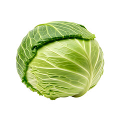Obraz premium Fresh green cabbage isolated on transparent background, a nutritious vegetable, perfect for salads, coleslaw, and healthy cooking, with vibrant color