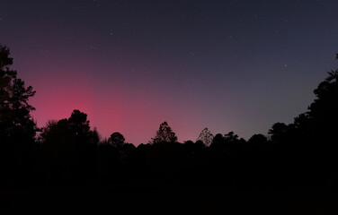 Eerie glow behind the forest at night