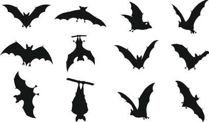 A collection of bats for artwork collection