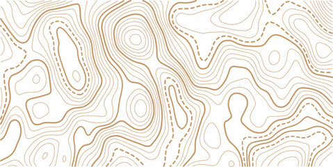 Topographic gold luxury map background. Geographic abstract pattern. The topo contour or wallpaper. The concept of a conditional geography scheme and contour line map image.