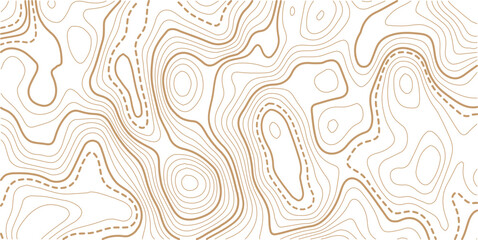 Abstract topo contour map on white background, Topographic map Topographic contour lines map seamless pattern.Topography background. Vector banner. Topo,
