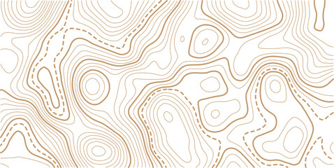 Topographic map contour background. Topo with elevation. The concept of a conditional geography scheme and contour line map image.Geographic mountain relief diagram line wave carve pattern.