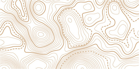 Abstract topo contour map on white background, Topographic map Topographic contour lines map seamless pattern.Topography background. Vector banner. Topo,
