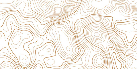 Abstract topo contour map on white background, Topographic map Topographic contour lines map seamless pattern.Vintage outdoors style wallpaper. 