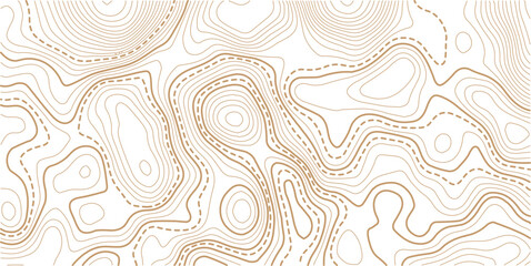 Topographic gold luxury map background. Geographic abstract pattern. The topo contour or wallpaper. The concept of a conditional geography scheme and contour line map image.