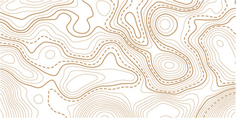 Abstract topo contour map on white background, Topographic map Topographic contour lines map seamless pattern.Vintage outdoors style wallpaper. 