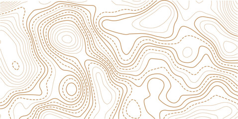 Abstract topo contour map on white background, Topographic map Topographic contour lines map seamless pattern.Vintage outdoors style wallpaper. 