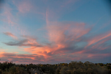 bright sky with trees at dusk, vivid sunset illuminating wooded horizon and peaceful scenery