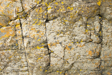 Closeup of rock surface with cracks and lichen